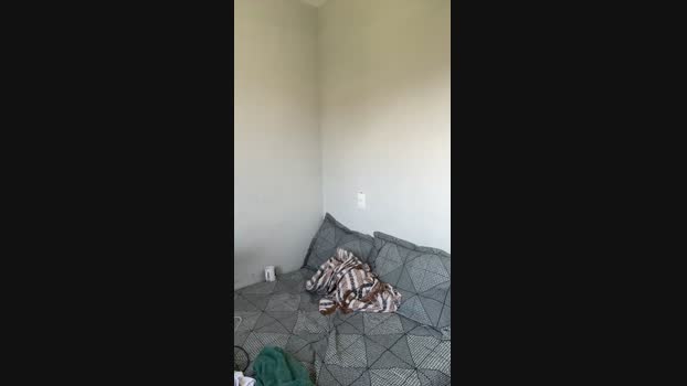 Baianinhoshot 19-11-2024 Recorded Video ass