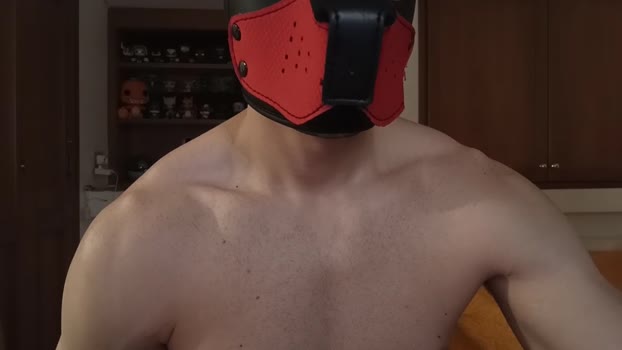 Frabroker 19-11-2024 Recorded Video bigdick