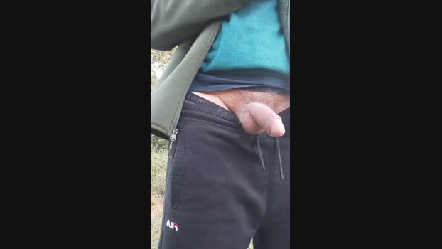 Lucasxlx
