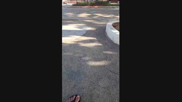 Vanluiz28 19-11-2024 Recorded Video Webcam