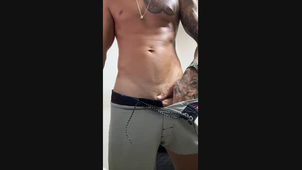 gato_dtado 19-11-2024 Recorded Video Pretty