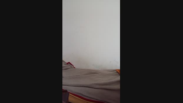 olivos123 19-11-2024 Recorded Video fuckface