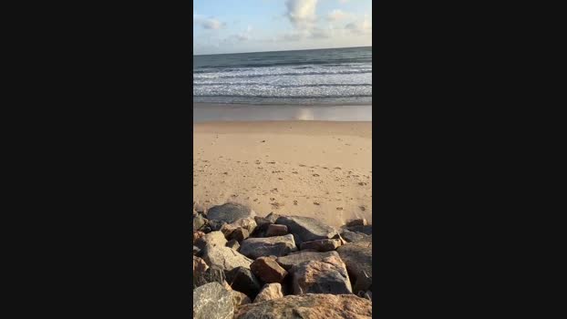 Dasul_1 21-11-2024 Recorded Video ass