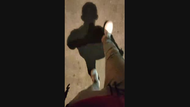 Frabroker 20-11-2024 Recorded Video analtoy