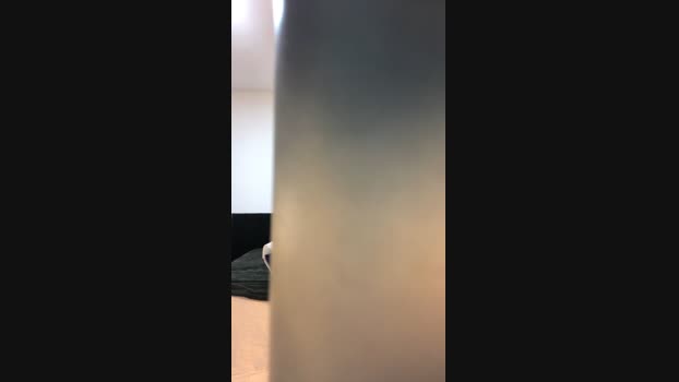 Pedrobarboza01 20-11-2024 Recorded Video toy