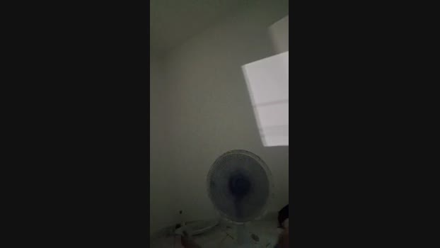 Vanluiz28 20-11-2024 Recorded Video legs