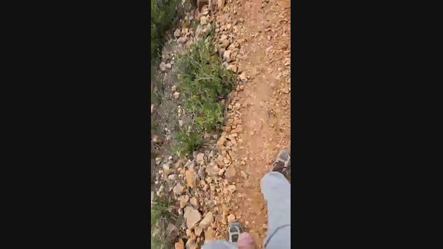 19depolla 23-11-2024 Recorded Video jerkoff