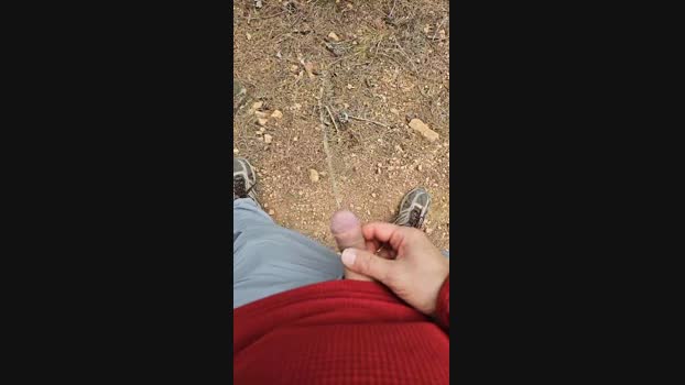 19depolla 23-11-2024 Recorded Video Video