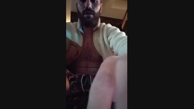 Auvergine 22-11-2024 Recorded Video natural