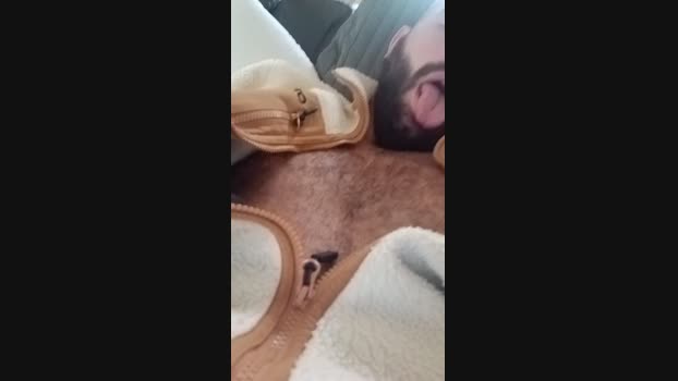 Auvergine 23-11-2024 Recorded Video ass