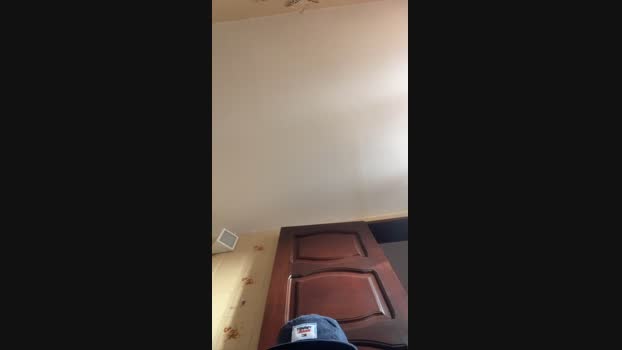 eujoao_z 22-11-2024 Recorded Video analtoy