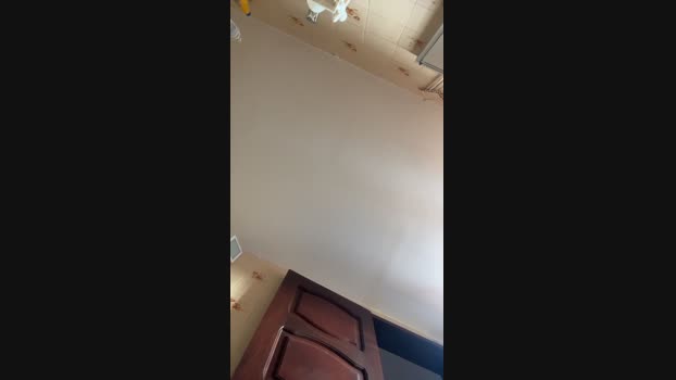eujoao_z 22-11-2024 Recorded Video natural