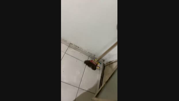 Allyson20345 23-11-2024 Recorded Video Video