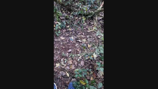 Outdoorgeil1 24-11-2024 Recorded Video handsome