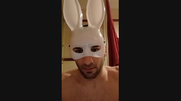 Siriocam 23-11-2024 Recorded Video bigtoys