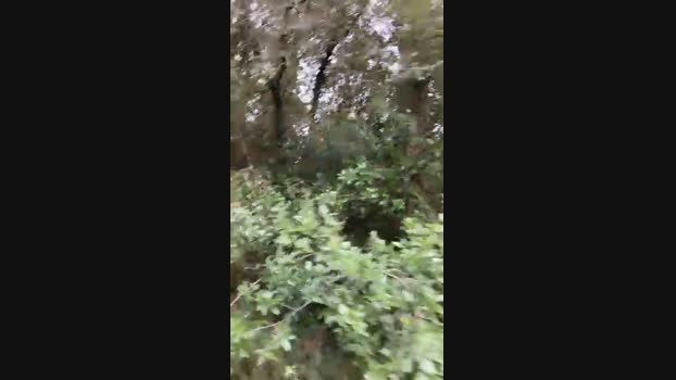 aegon27 24-11-2024 Recorded Video Ass