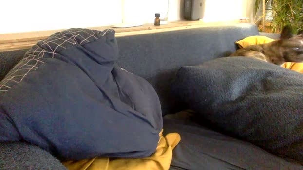 sou9_fun 24-11-2024 Recorded Video big