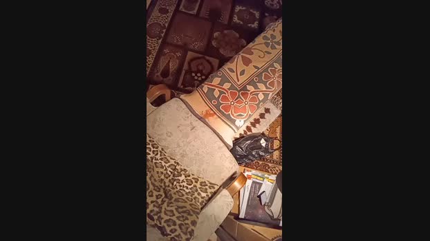 weed_whacker 23-11-2024 Recorded Video natural