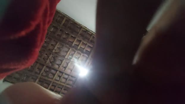 Cezinha_PE 24-11-2024 Recorded Video toys