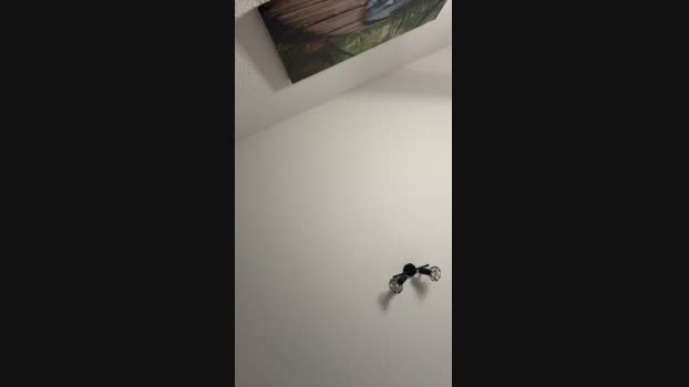 ThorOdinson03 24-11-2024 Recorded Video fingers