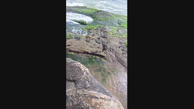 Vanluiz28 24-11-2024 Recorded Video sweet