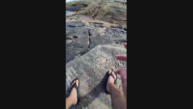 Vanluiz28 24-11-2024 Recorded Video bigload
