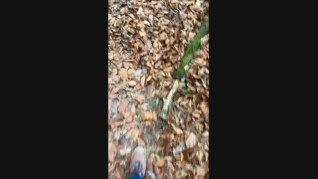 aragon5752 25-11-2024 Recorded Video gay