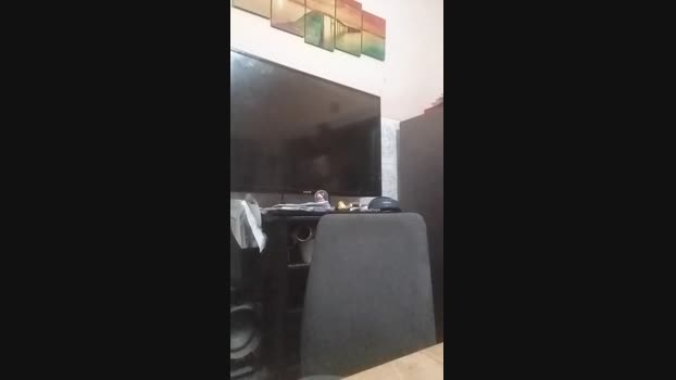 badeen 24-11-2024 Recorded Video bigtoys