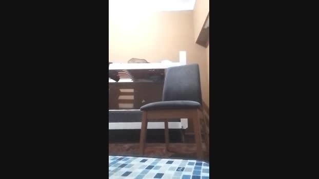 badeen 24-11-2024 Recorded Video Ass
