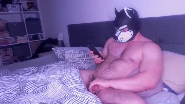 gaymuscledoc 24-11-2024 Recorded Video gag
