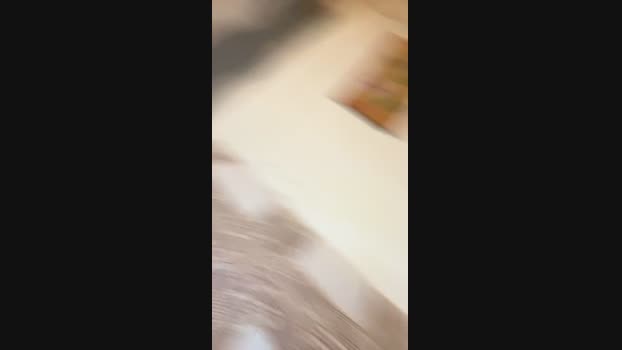 gipsybrown 24-11-2024 Recorded Video suckcock