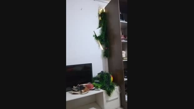 leandro1967 24-11-2024 Recorded Video suck