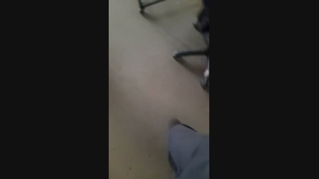 Celocam 26-11-2024 Recorded Video big