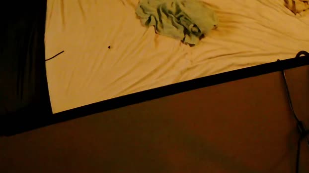 SchagenNH 25-11-2024 Recorded Video deep