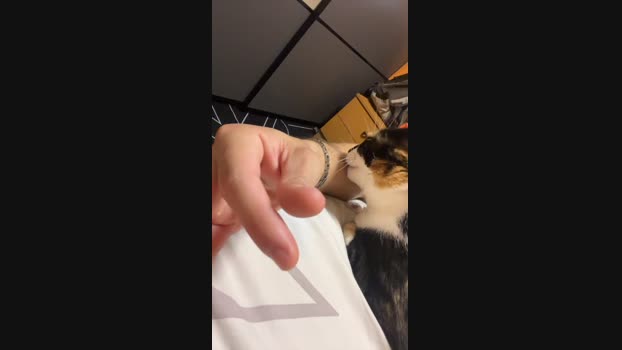 gipsybrown 26-11-2024 Recorded Video juicy
