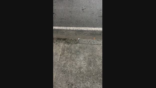 Allyson20345 26-11-2024 Recorded Video prettyface