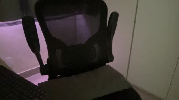 Cariocadot 27-11-2024 Recorded Video toy