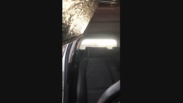 El_ceco 27-11-2024 Recorded Video suck