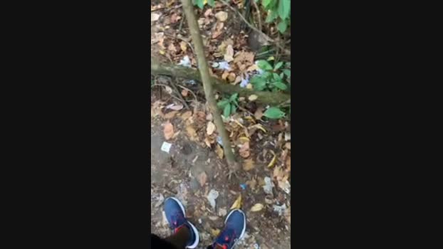 Nado1santos 27-11-2024 Recorded Video beauty