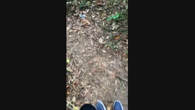 Nado1santos 27-11-2024 Recorded Video bj-dildo
