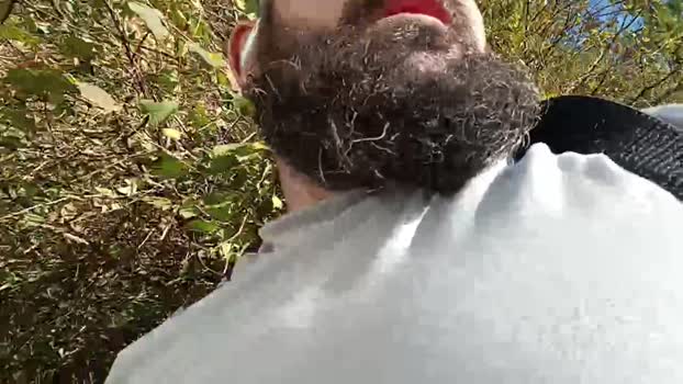 Nopareja 27-11-2024 Recorded Video sweet