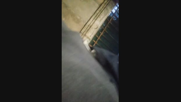 Seloloko 26-11-2024 Recorded Video moan