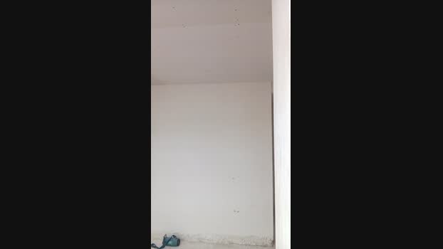 Seloloko 27-11-2024 Recorded Video fuckface