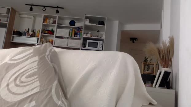 SilvaBR9 27-11-2024 Recorded Video dirty