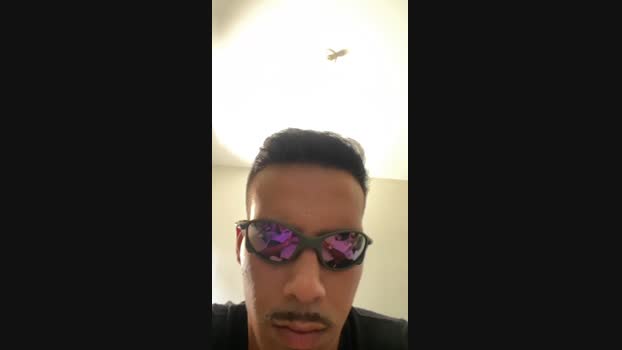 VNA027 26-11-2024 Recorded Video nasty