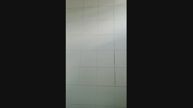 felixm98 26-11-2024 Recorded Video toys