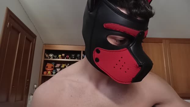 Frabroker 28-11-2024 Recorded Video handsome