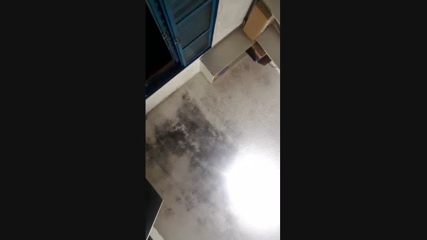 Lemenelli666 27-11-2024 Recorded Video jerkoff