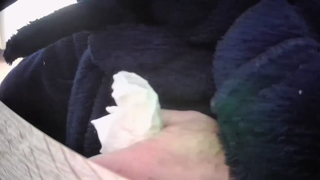 OWLGuetersloh1 28-11-2024 Recorded Video sexy
