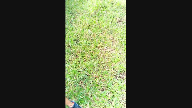 Skinny23cm 27-11-2024 Recorded Video analsex